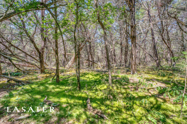 37 ACRES NC 2900, MARBLE FALLS, AR 72648 - Image 1