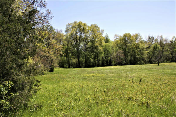 13.4 AC EASTWOOD DRIVE, BELLEFONTE, AR 72601, photo 4 of 9