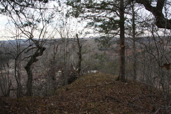 9.98 ACRES LONE STAR TRAIL, LEAD HILL, AR 72644, photo 4 of 10