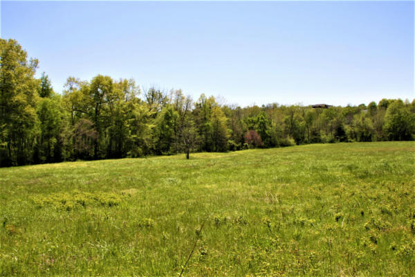 13.4 AC EASTWOOD DRIVE, BELLEFONTE, AR 72601, photo 3 of 9